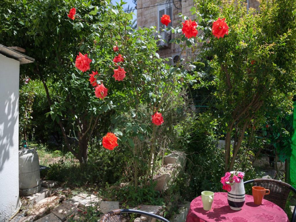 Alona'S Apartments حيفا المظهر الخارجي الصورة